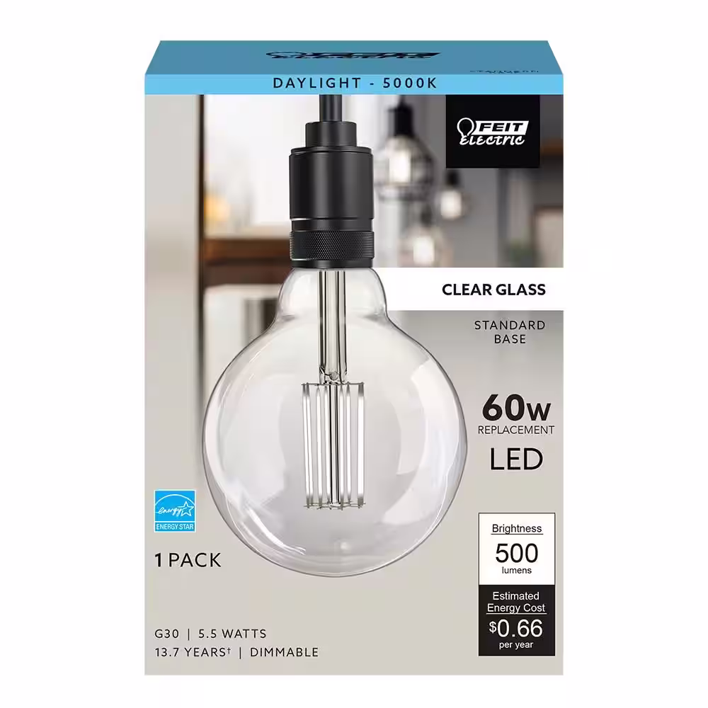 Feit Electric 60-Watt Equivalent G30 Dimmable Cage Filament Clear Glass E26 Vintage Edison LED Light Bulb, Daylight (4-Pack)