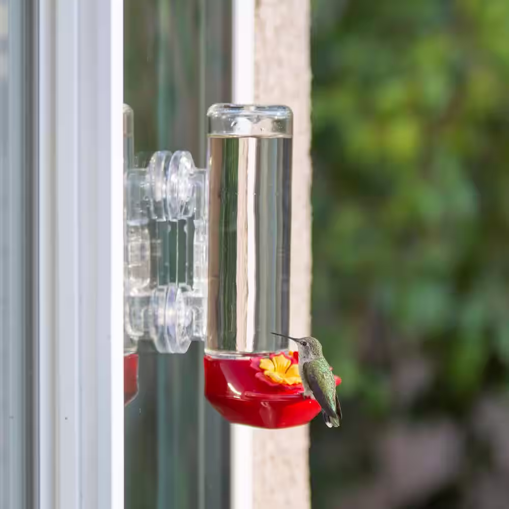 None Window Mount Glass Hummingbird Feeder - 14 oz. Capacity