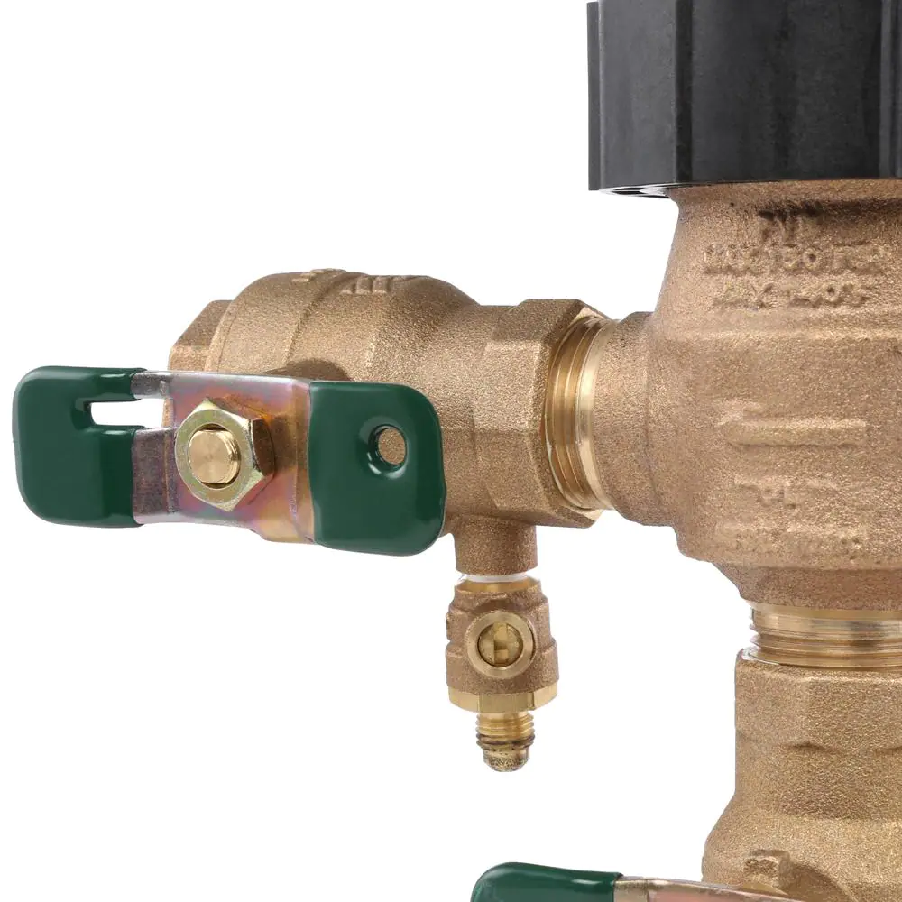 Watts 1 in. Pressure Vacuum Breaker