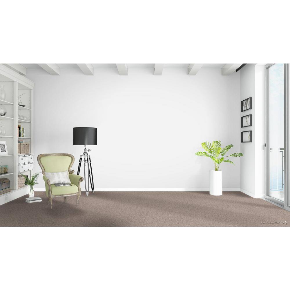 Home Decorators Collection Whispers  - Rumor - Beige 38 oz. SD Polyester Texture Installed Carpet