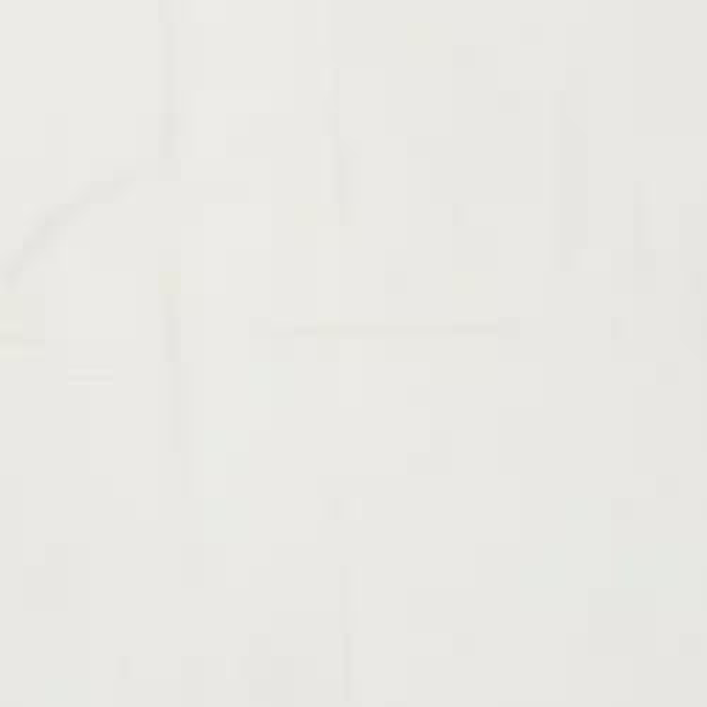 Craft Basics American 29 in. x 36 in. Soft White Flour Sack Towel (10-Pack)