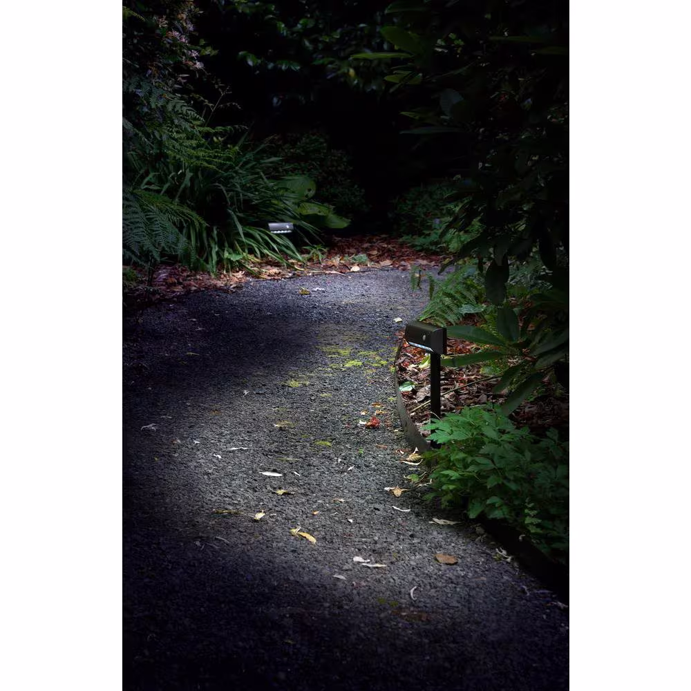 Light It! 20033-107 LED Garden and Path Light, Bronze
