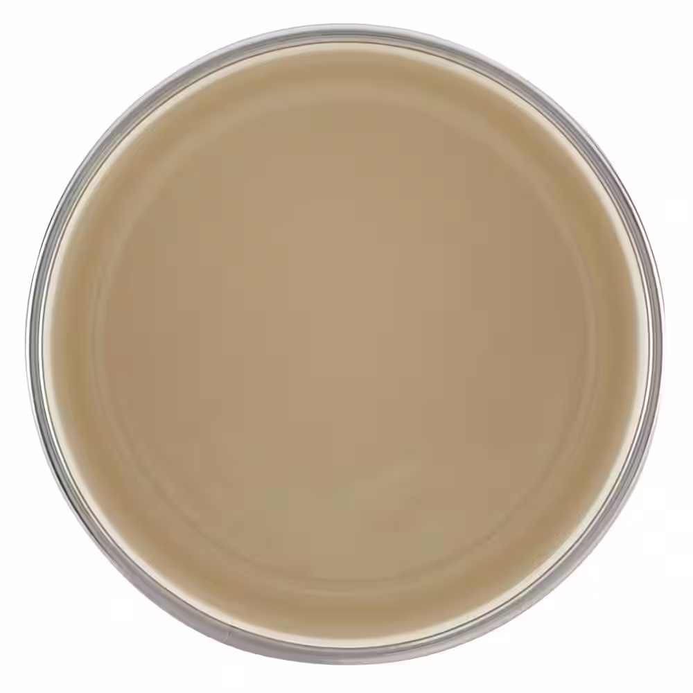 LOCK & LOCK 4 in. x 4 in. Enamel on Steel Bacon Grease Can Basil Green
