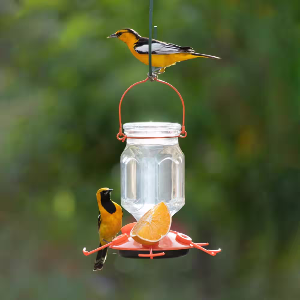 Perky-Pet Top-Fill Glass Oriole Feeder