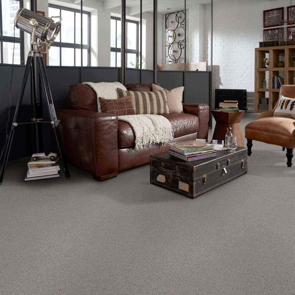 Home Decorators Collection Brave Soul II - Cinder - Gray 44 oz. Polyester Texture Installed Carpet