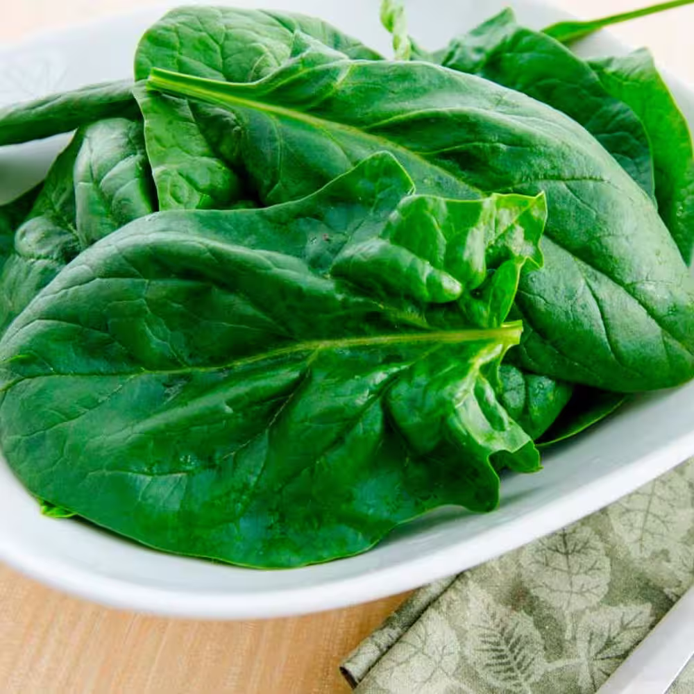 Gurney's Spinach Goliath 15 ft. Seed Tape