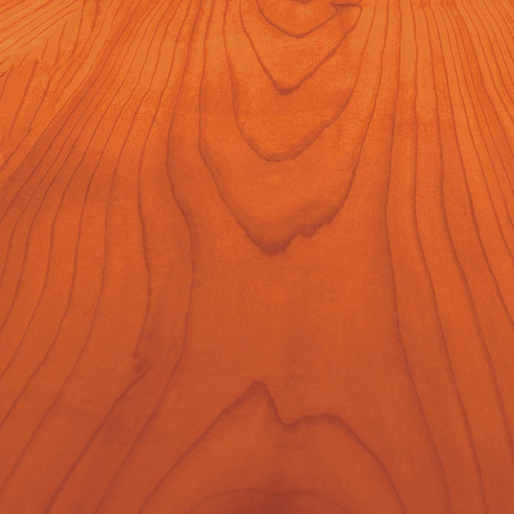 Wolman 1 gal. Durastain Redwood Exterior Wood Semi-Transparent Stain (4-Pack)