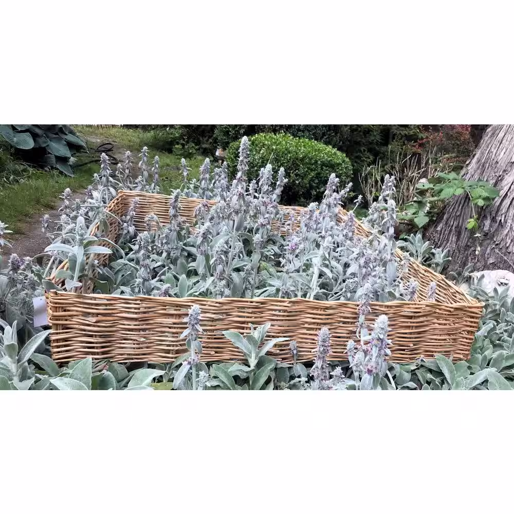 MGP 48 in. x 14 in. x 1 in. Carbonized Tan Woven Willow Edging