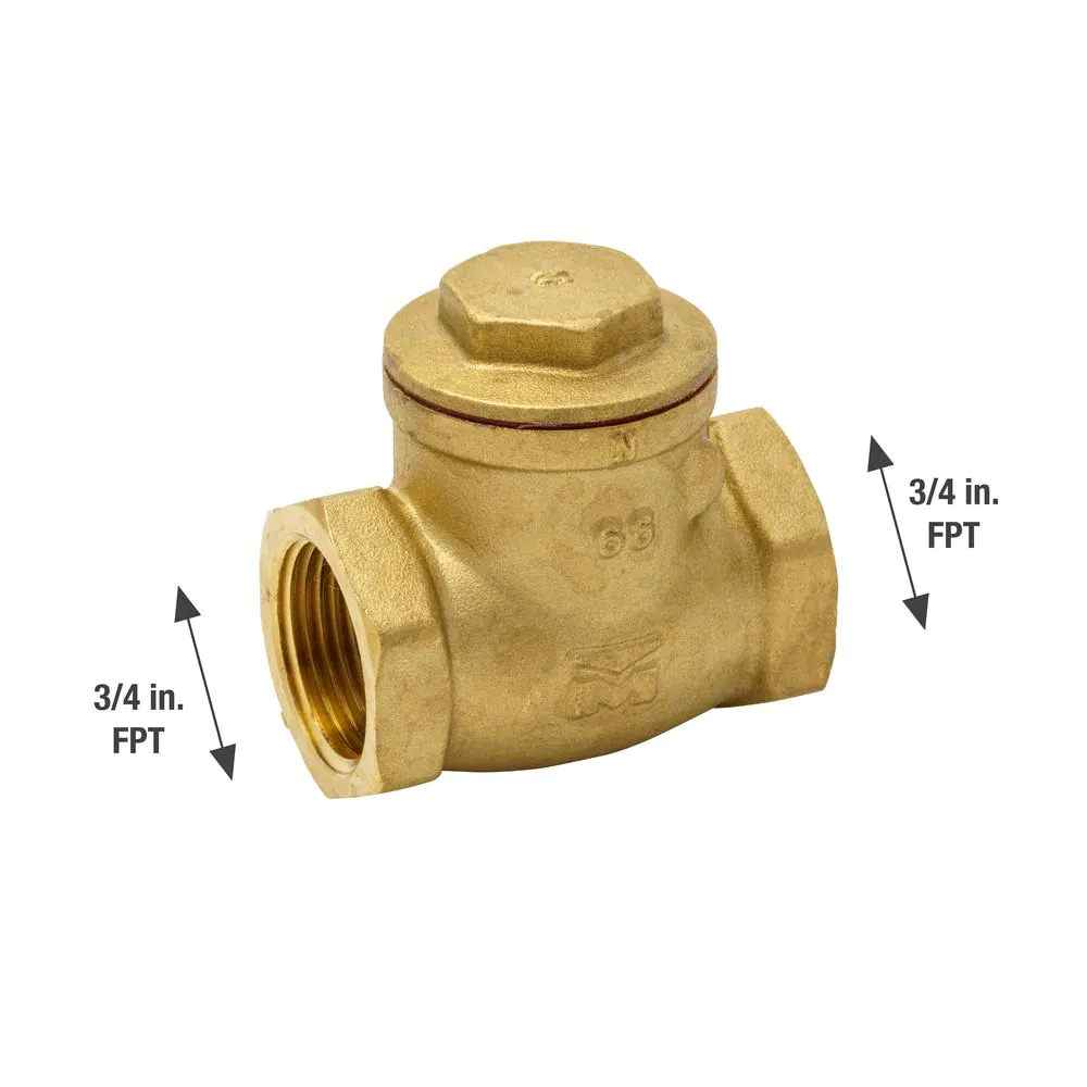 Everbilt 3/4 in. Brass FPT Swing Check Valve