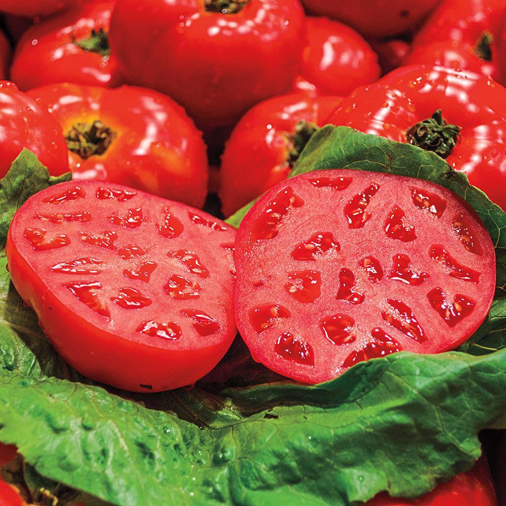 Gurney's Tomato Ruby Monster Hybrid (25 Seed Packet)