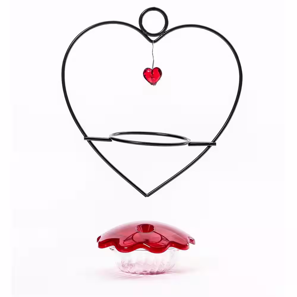 BIRDS choice 3 oz. Red Heart Hummingbird Feeder