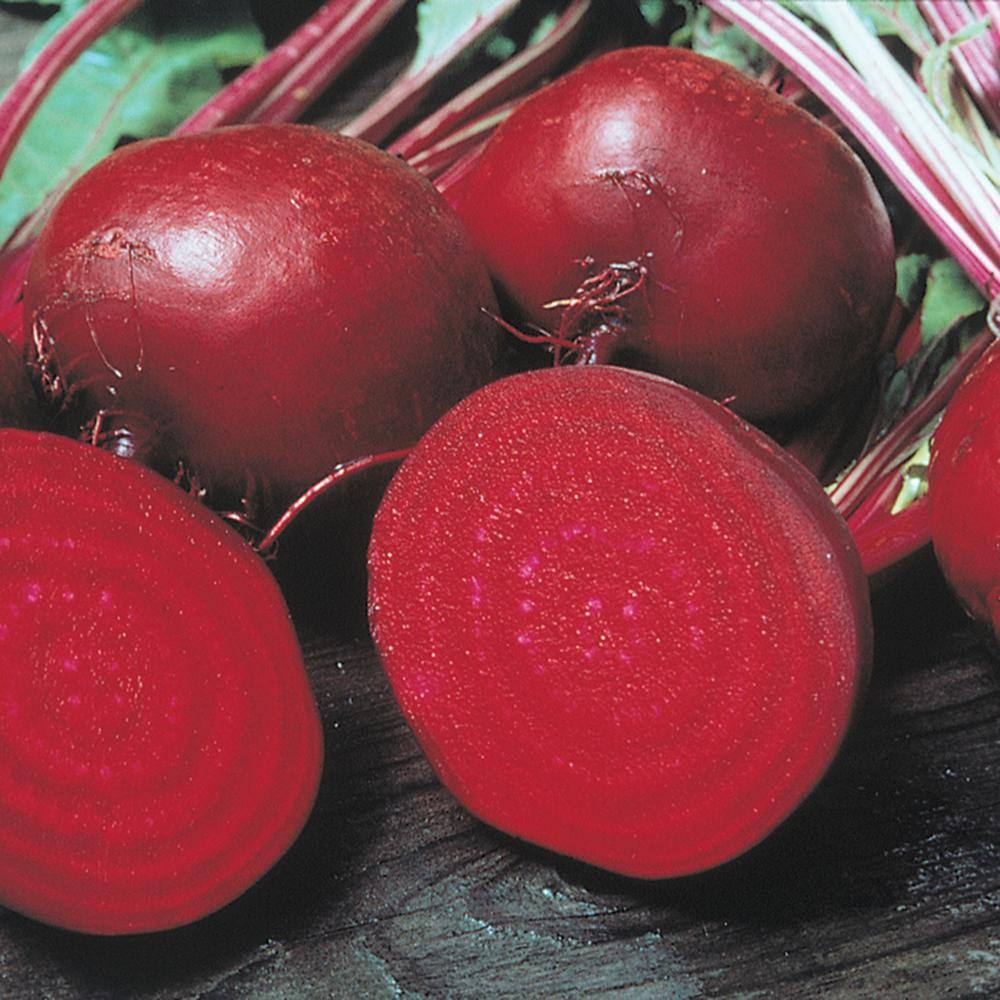 Gurney's Beet Perfected Detroit 15 ft. Seed Tape