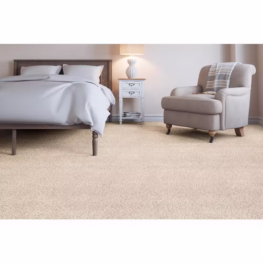 Home Decorators Collection Soft Breath II - Abbey - Gray 60 oz. SD Polyester Texture Installed Carpet