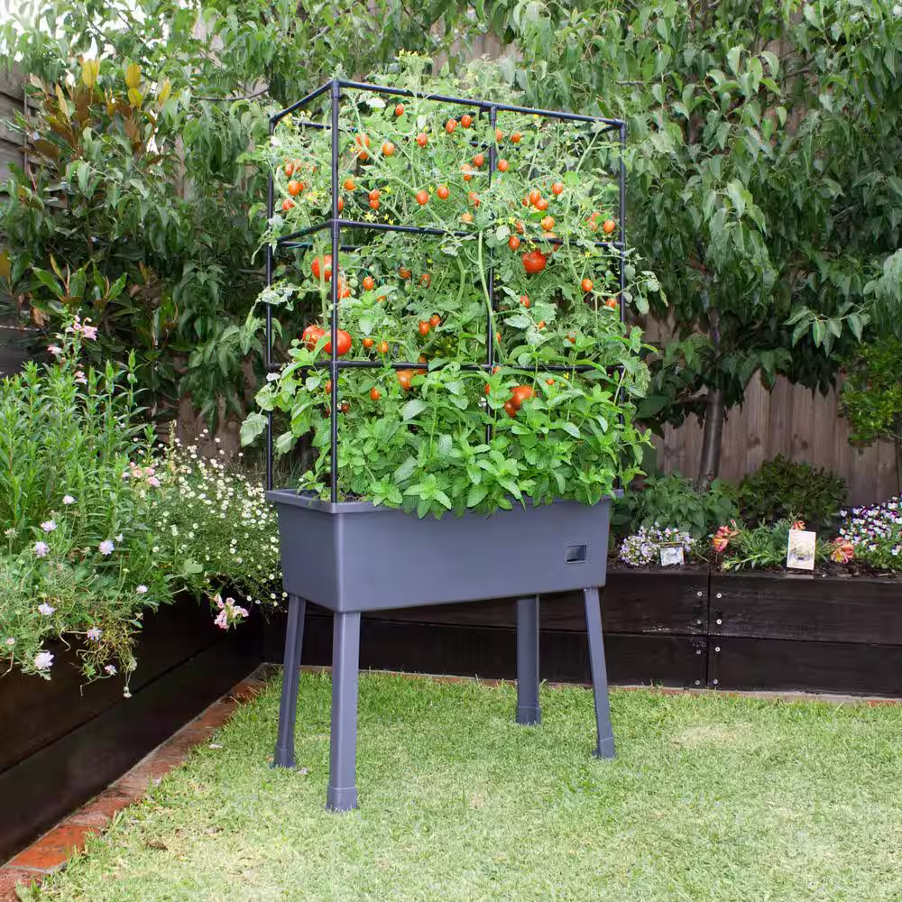 Frame It All Patio Ideas - 15.75 in. x 31.5 in. x 63 in. Self-Watering Raised Garden Bed with Trellis and Greenhouse Cover