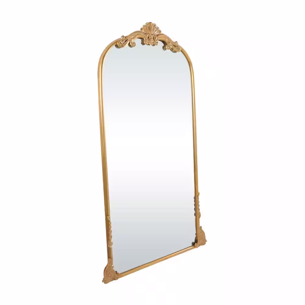 Litton Lane 72 in. x 42 in. Tall Ornate Arched Acanthus Oval Framed Gold Scroll Wall Mirror