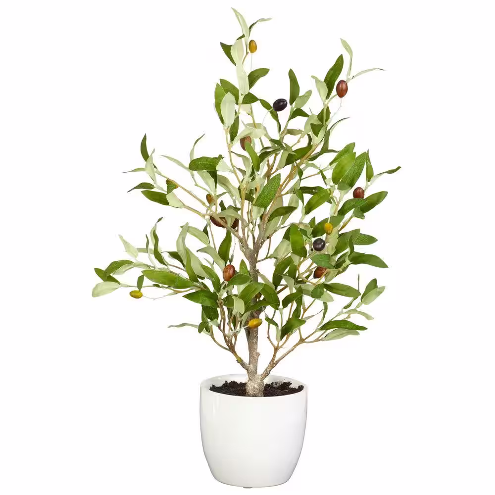 Nearly Natural 18 in. Artificial H Green Olive Silk Tree with Vase (Set of 2)