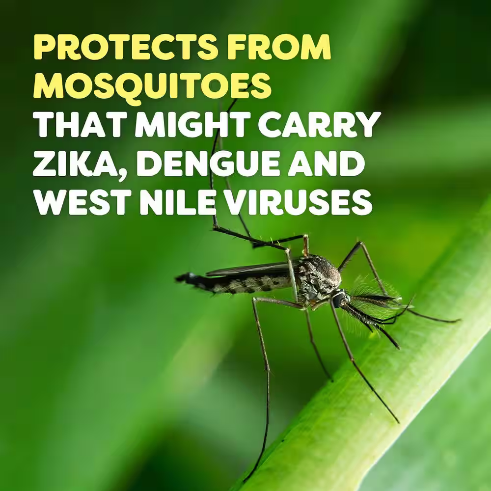 OFF! 4 oz. Deep Woods Dry Insect Repellent