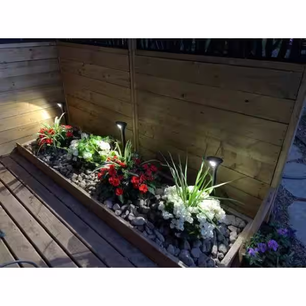 BAZZ Solar Black Motion Sensing LED Path Light (2-Pack)