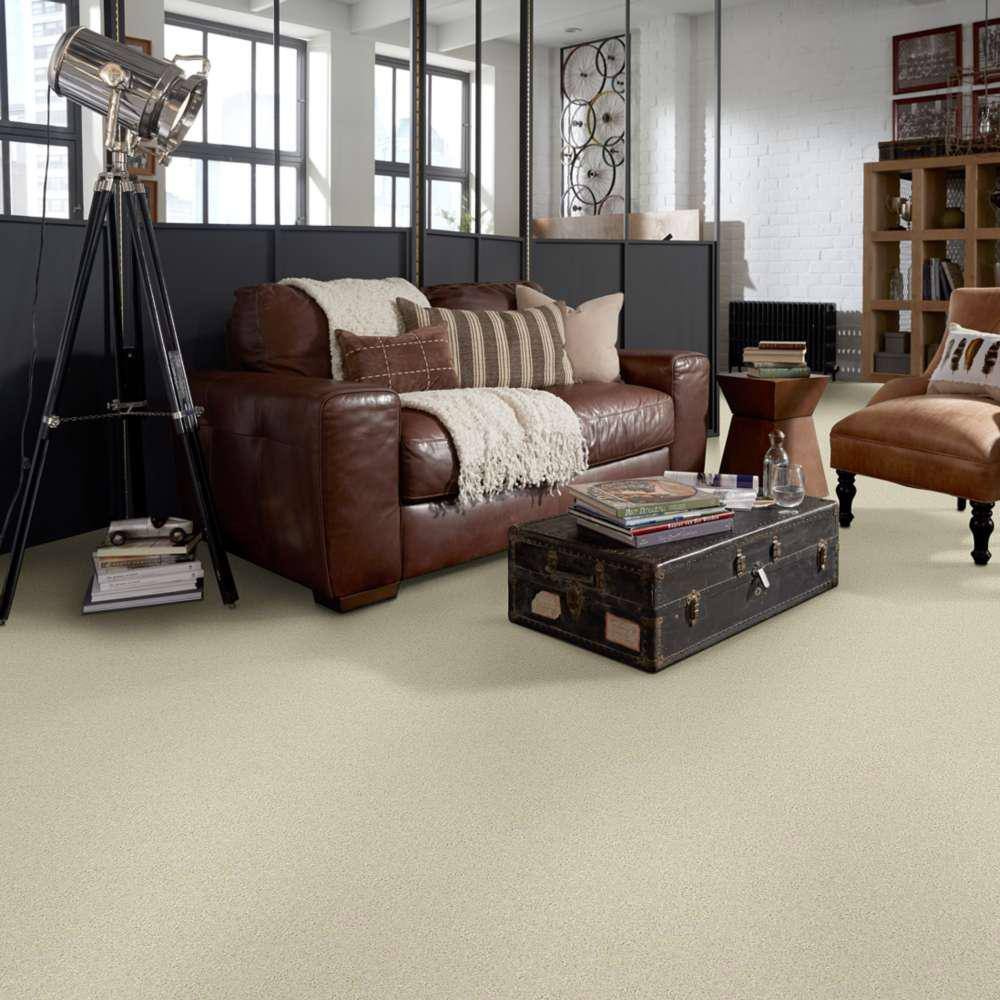 Home Decorators Collection Brave Soul II - Delicate - Beige 44 oz. Polyester Texture Installed Carpet