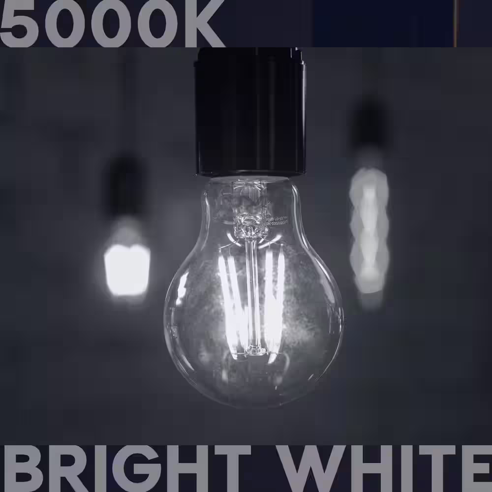 None 100-Watt Equivalent A19 1600 Lumens Dimmable E26 Edison LED Light Bulb 12-Watt Damp Rated UL 5000K Bright White (2-Pack)