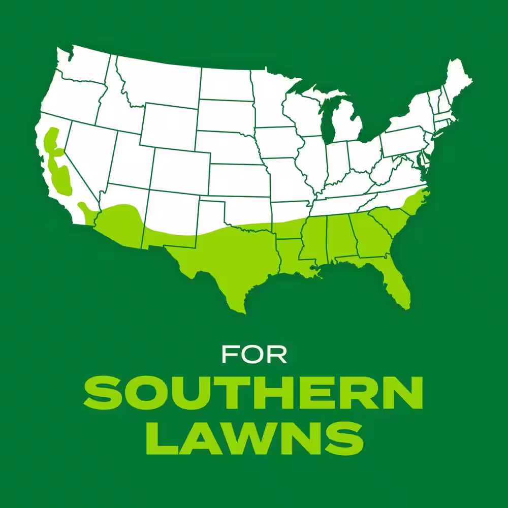 Scotts Turf Builder 8 lbs. Rapid Grass Bermudagrass Combination Seed and Fertilizer Grows Green Grass Fast