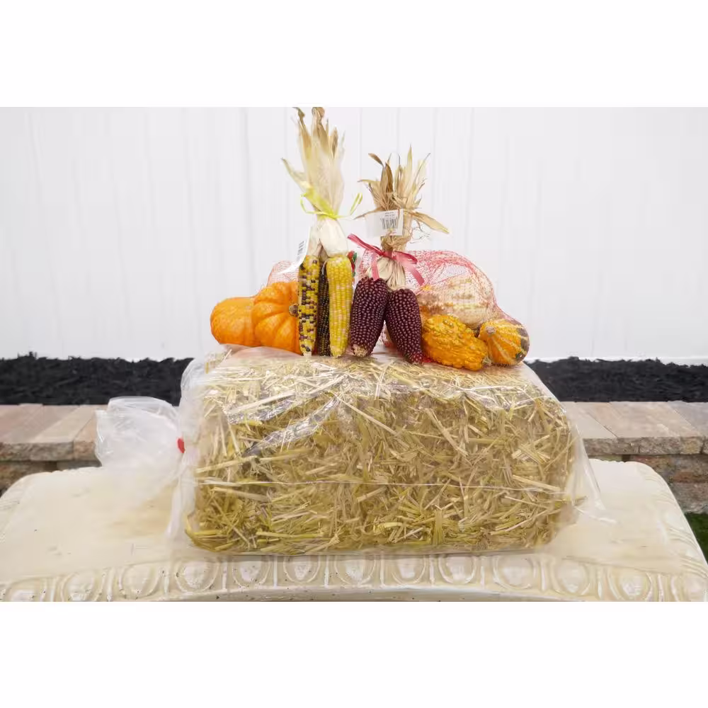 BELL NURSERY Mini Straw Bales 8 in. x 10 in. x 16 in.