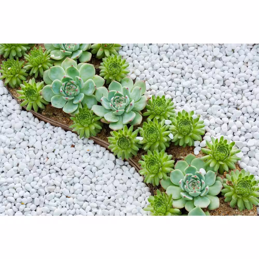 EXOTIC 3/8 in. Polished Snow White Gravel (20 lbs. Bag)