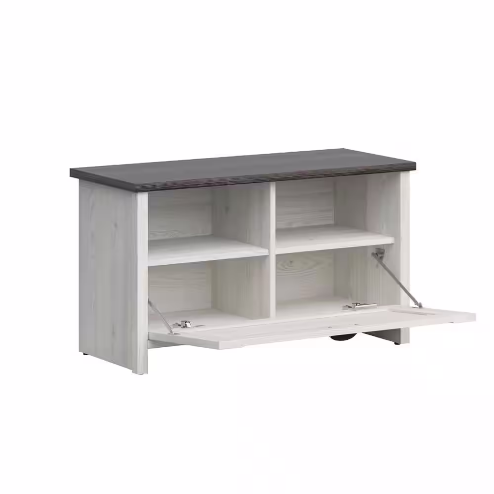 Lifestyle Solutions Walton 19.1 in. H x 33.27 in. White Finished Wood Shoe Storage Cabinet