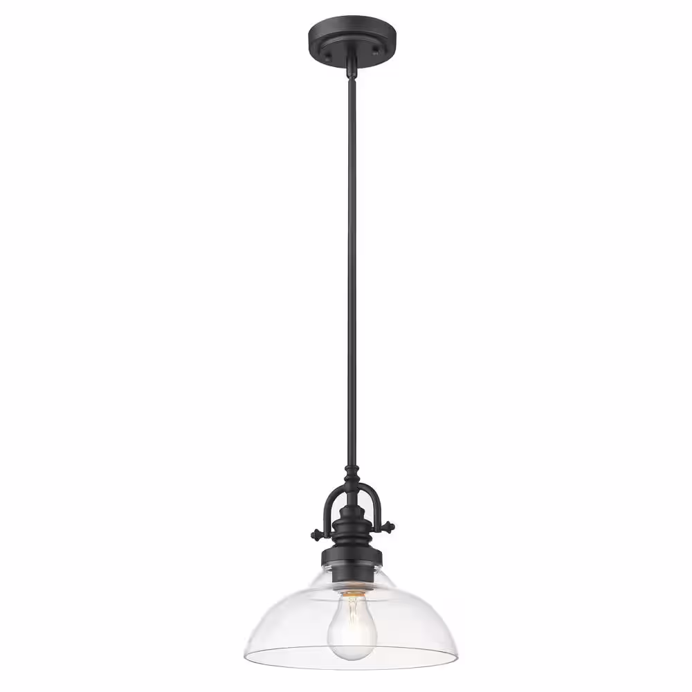 Acclaim Lighting Virginia 1-Light Indoor Matte Black Mini-Pendant with Glass Shade
