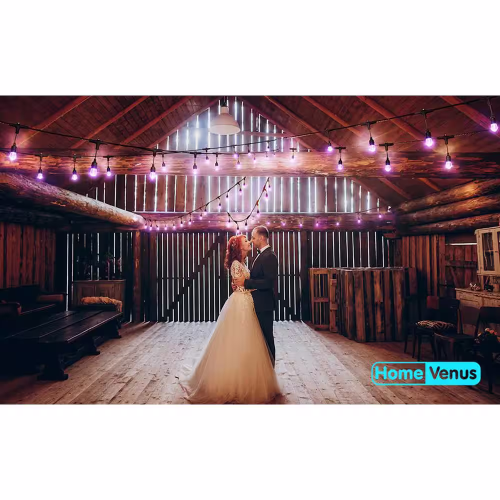 None 36 ft. Plug-In Color Change HVS Smart String Rope Lights, Bluetooth, 2.4GHz Wi-Fi, Alexa, Google Home, Mobile App