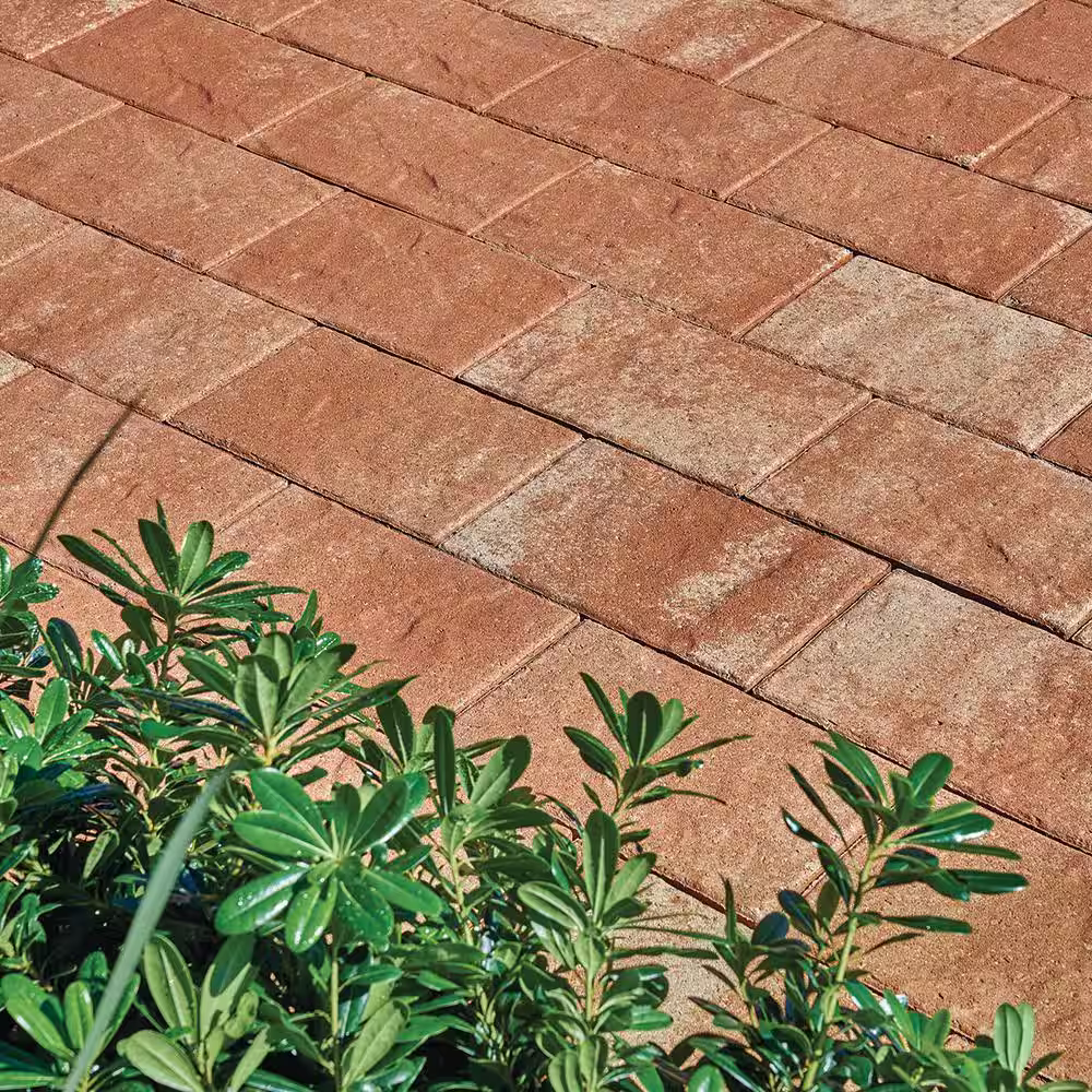 Pavestone Taverna 11.81 in. L x7.87 in. Wx 1.97 in. H Rectangle Milsap Blend Concrete Paver (192-Piece/124 sq. ft./Pallet)
