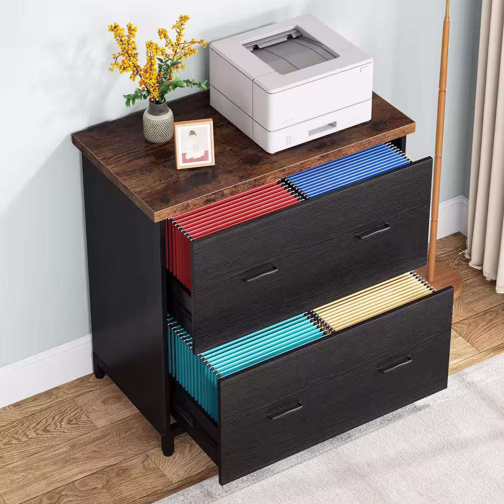 Tribesigns Frances Black File Cabinet with 2 File Drawers, Letter Size