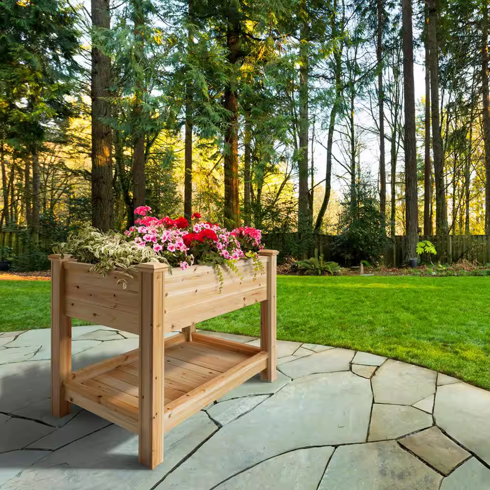 Outdoor Essentials Heirloom 2 ft. x 4 ft. Cedar Elevated Garden Planter with Shelf (Tool Free)