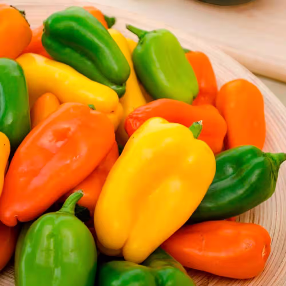 Gurney's Sweet Pepper Yum Yums Hybrid Mixed Mini Bells Seed (15-Pack)