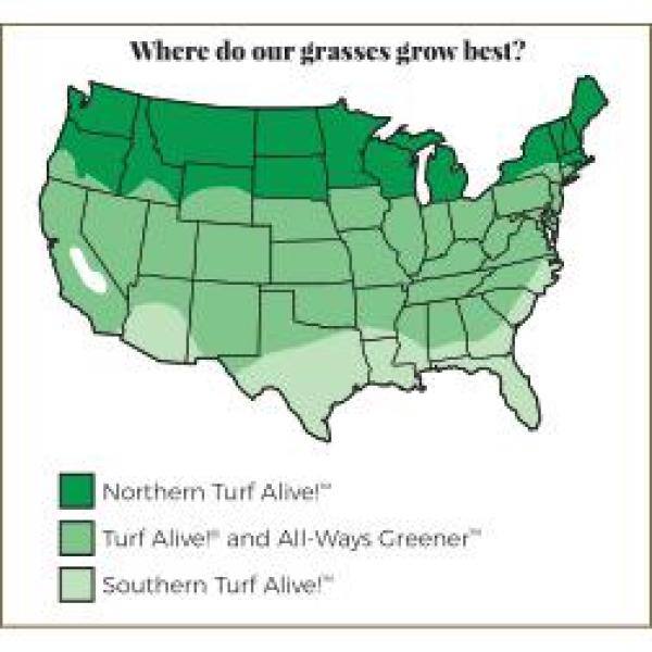 Gardens Alive! 4 lbs. Northern Turf Alive! Grass Seed Mixture