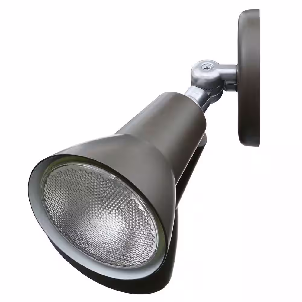 Thomas Lighting 2-Light Painted Bronze Outdoor Wall-Mount Spot Light