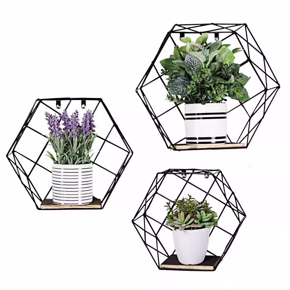 None Matte Black Hexagon Wall-Mounted Metal Wire Hanging Storage Shelves (Set of 3)