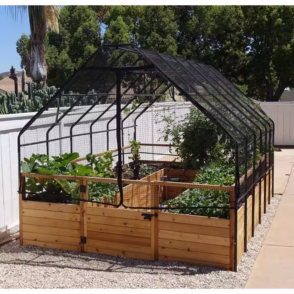 Outdoor Living Today 8 ft. x 8 ft. Cedar Wood Garden Garden in a Box with Bird Net Cover