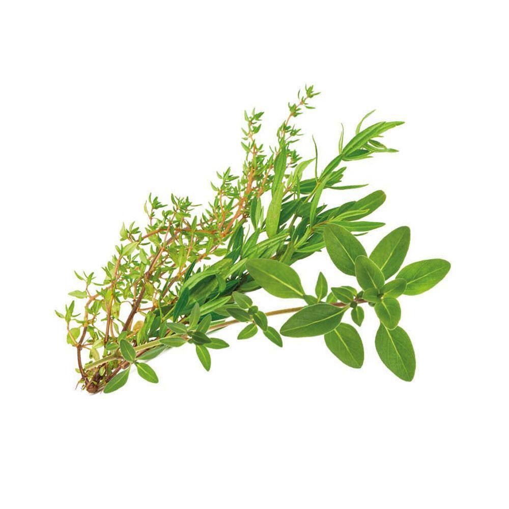 aspara Capsule Seed Kit - Herbs Selected Italian