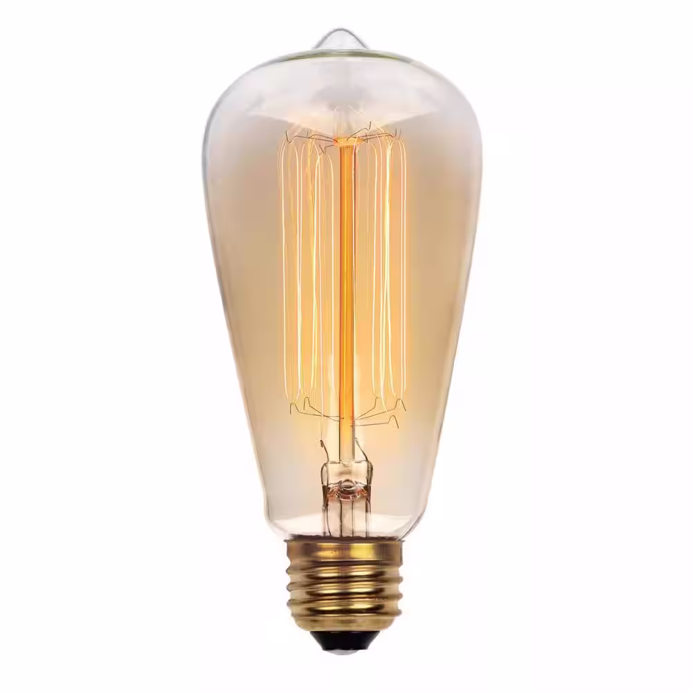 Westinghouse 60-Watt Timeless Vintage Inspired Incandescent ST20 Light Bulb (6-Pack)
