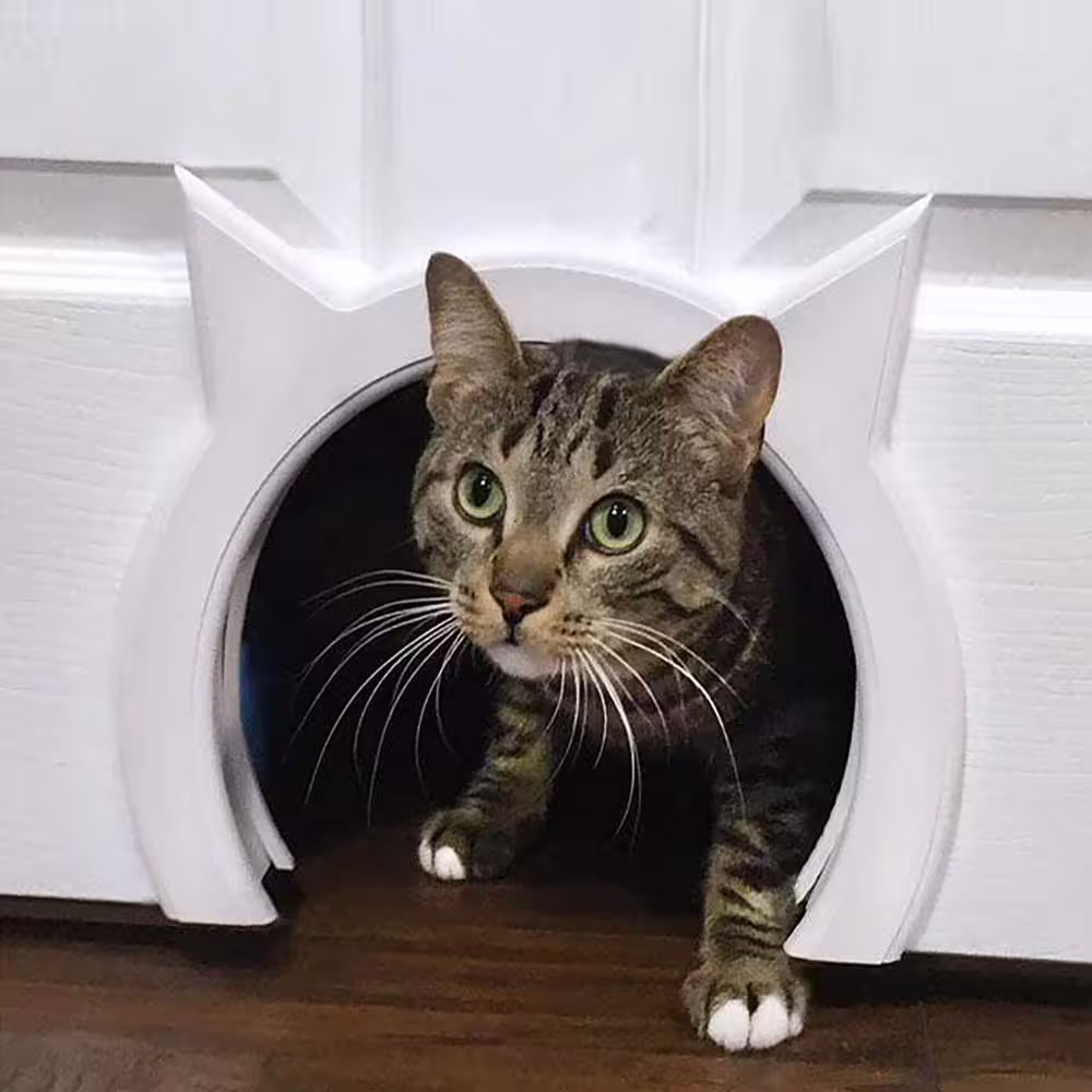 None 9 in. x 12 in. Interior Cat Door and Pet Door