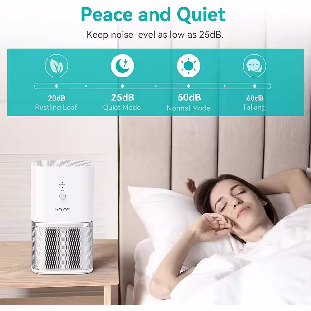 None Small Air Purifiers with True HEPA Filter