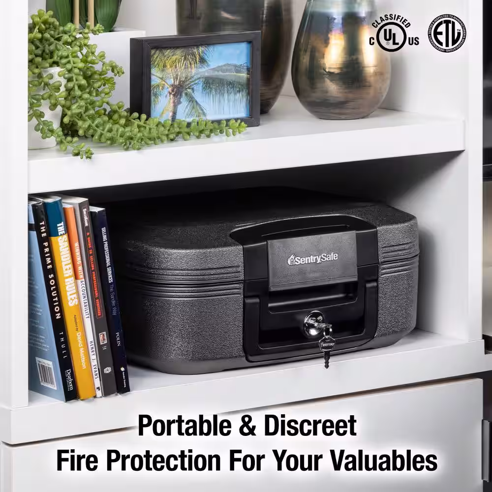 SentrySafe 0.28 cu. ft. Fireproof & Waterproof Safe Box with Organizer
