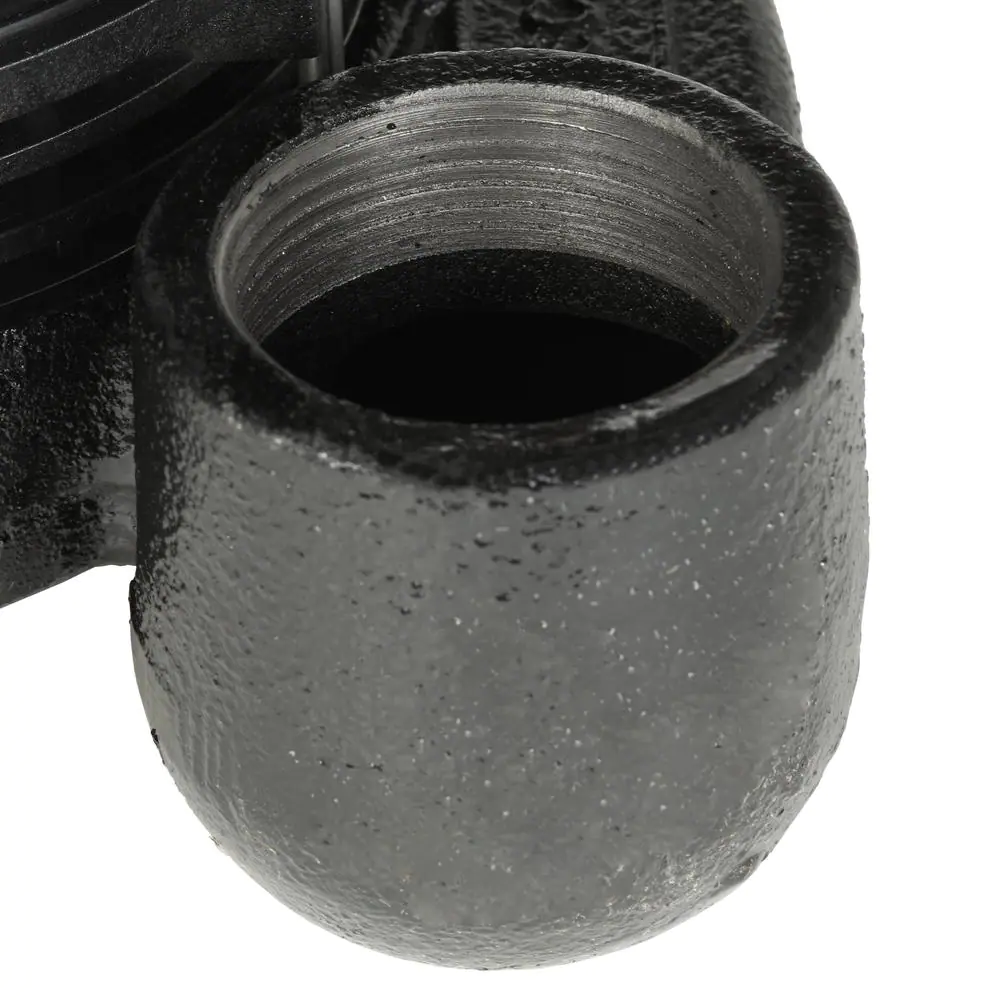 Wayne 1/3 HP Cast Iron Submersible Sump Pump with Vertical Float Switch