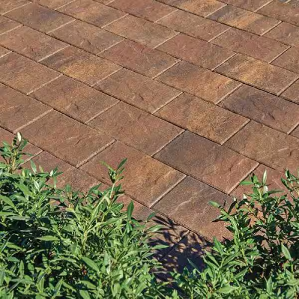 Pavestone Taverna Rec 11.81 in. L x 7.87 in. W x 1.97 in. H Walnut Blend Concrete Paver (192-Pieces/ 124 sq. ft./ Pallet)