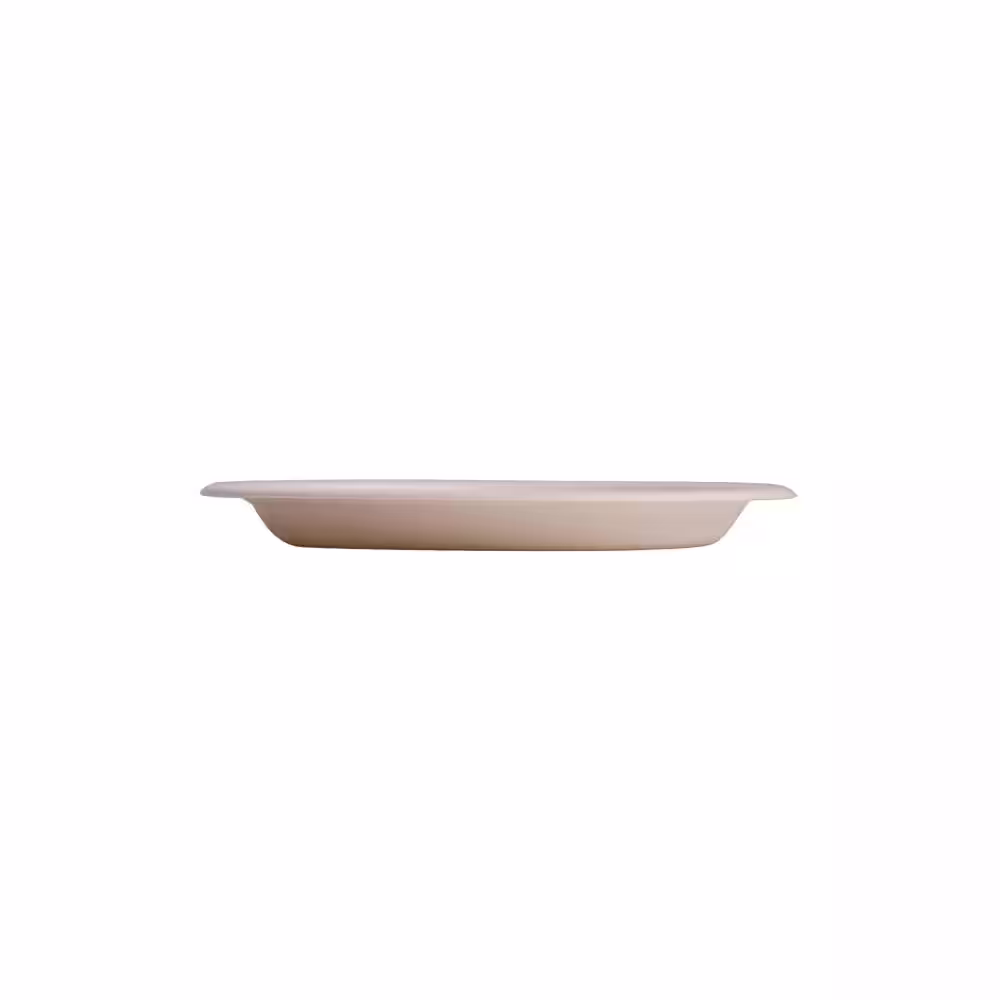 None 9 in. Unbleached Compostable Disposable Paper 3-Section Plates [125/Pack, 8-Packs/Carton]