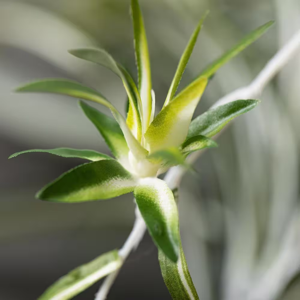 SULLIVANS Artificial 19 in. Green Retro-Inspired Spider Plant