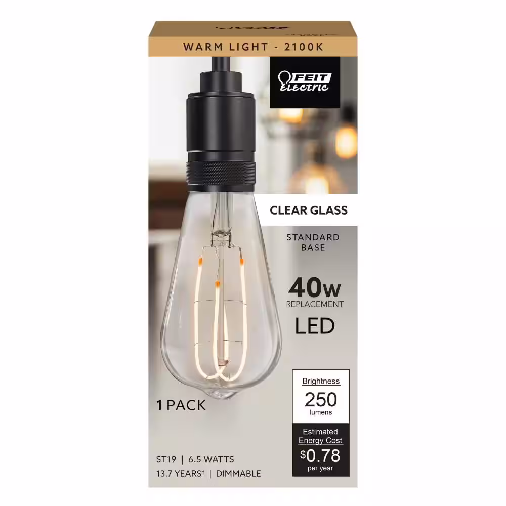 Feit Electric 40-Watt Equivalent ST19 DImmable M Shape Filament Clear Glass E26 Vintage Edison LED Light Bulb Warm White 2100K(4-Pack)