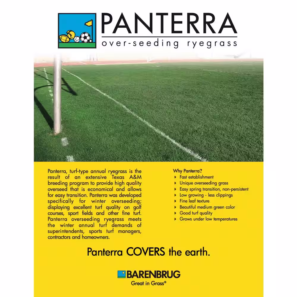 Barenbrug 50 lb. Panterra V OverSeeding Rye Grass Seed
