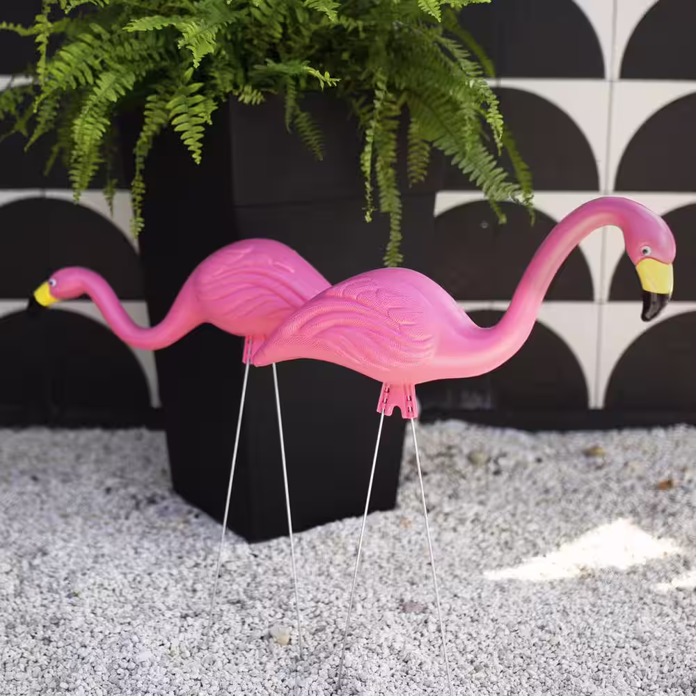 Bloem Pink Flamingo (2-Pack)